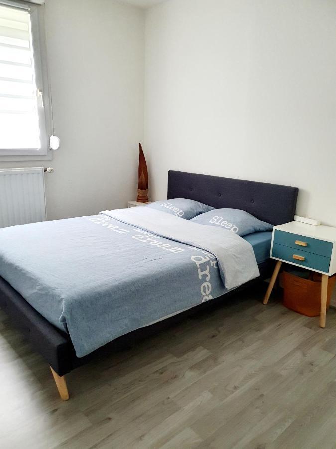 Bel Appartement Cosy Страсбург Екстериор снимка